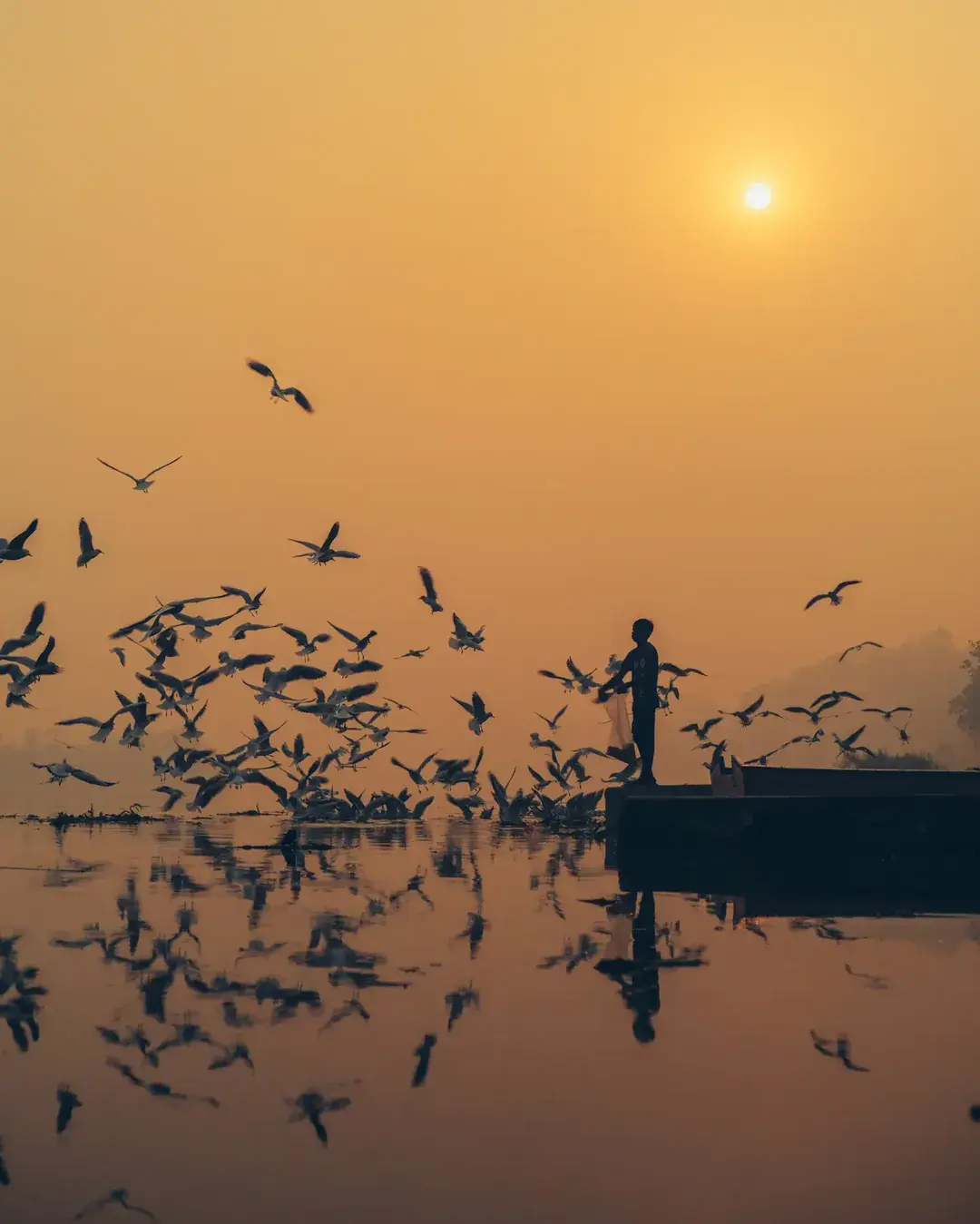 A figure silhouetted at the end of a jetty feeds a swirling flock of gulls at sunrise, the birds mirrored in still water.